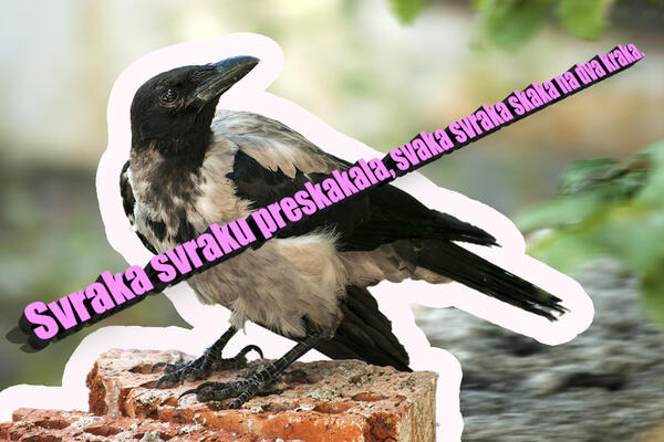 OVO SU NAJZABAVNIJE SRPSKE BRZALICE: Čik probajte da ponovite neku BAR TRI PUTA