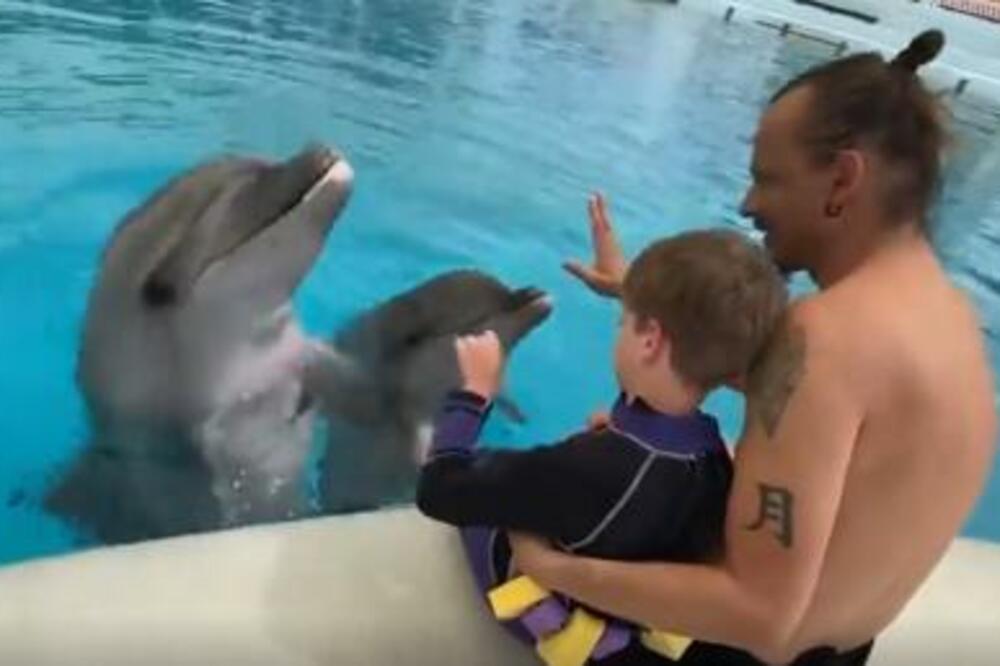 NIKOLA JE JEDINI SRPSKI DELFINOTERAPEUT: Pomaže deci sa smetnjama u razvoju, evo kako to funkcioniše (FOTO)