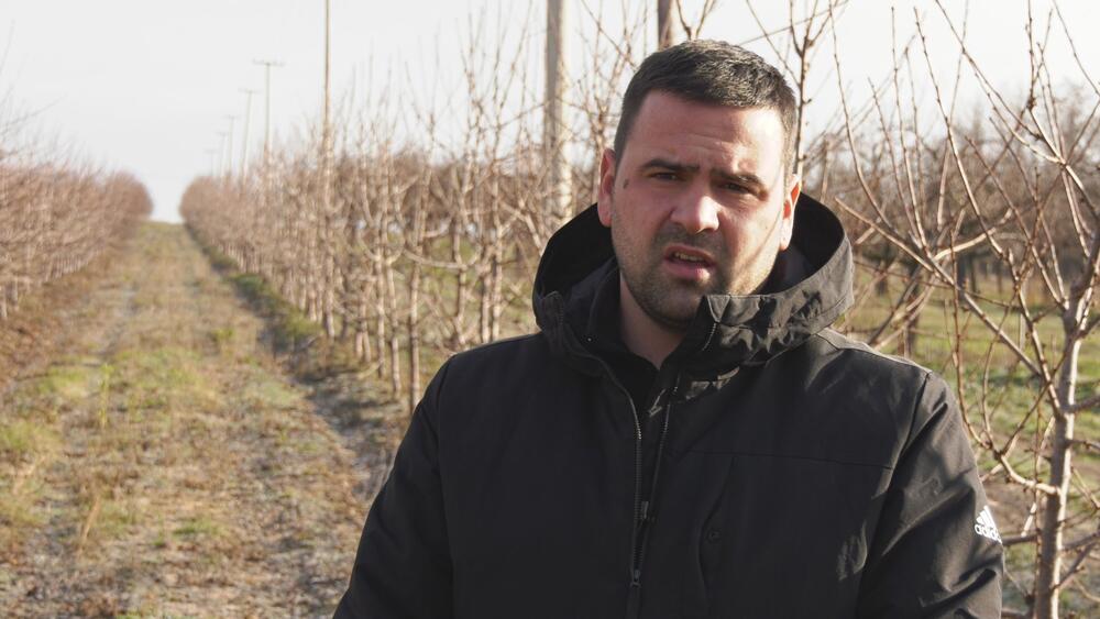 Aleksandar Stojanović