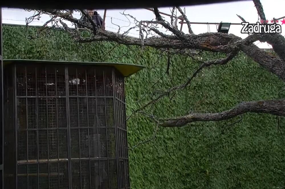 UČESNIK POKUŠAO DA POBEGNE IZ ZADRUGE! (FOTO)