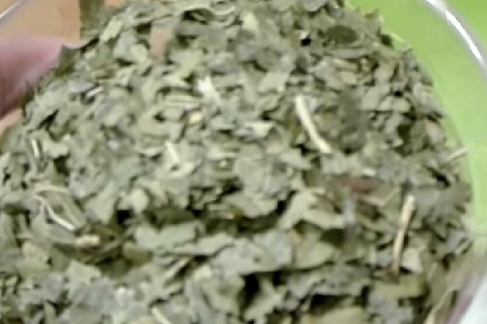 OVO SMO JELI U JUGOSLAVIJI, A NAŠA DECA NE ZNAJU DA POSTOJI: Evo koliko je ova VOĆKA MOĆNA!