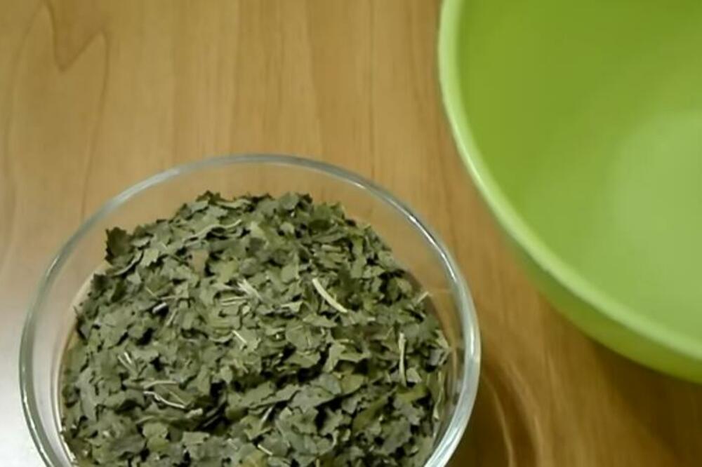 ČAJ OD LISTOVA OVE BILJKE SMANJUJE NIVO ŠEĆERA U KRVI: Ovo je spas za VAŠ ORGANIZAM