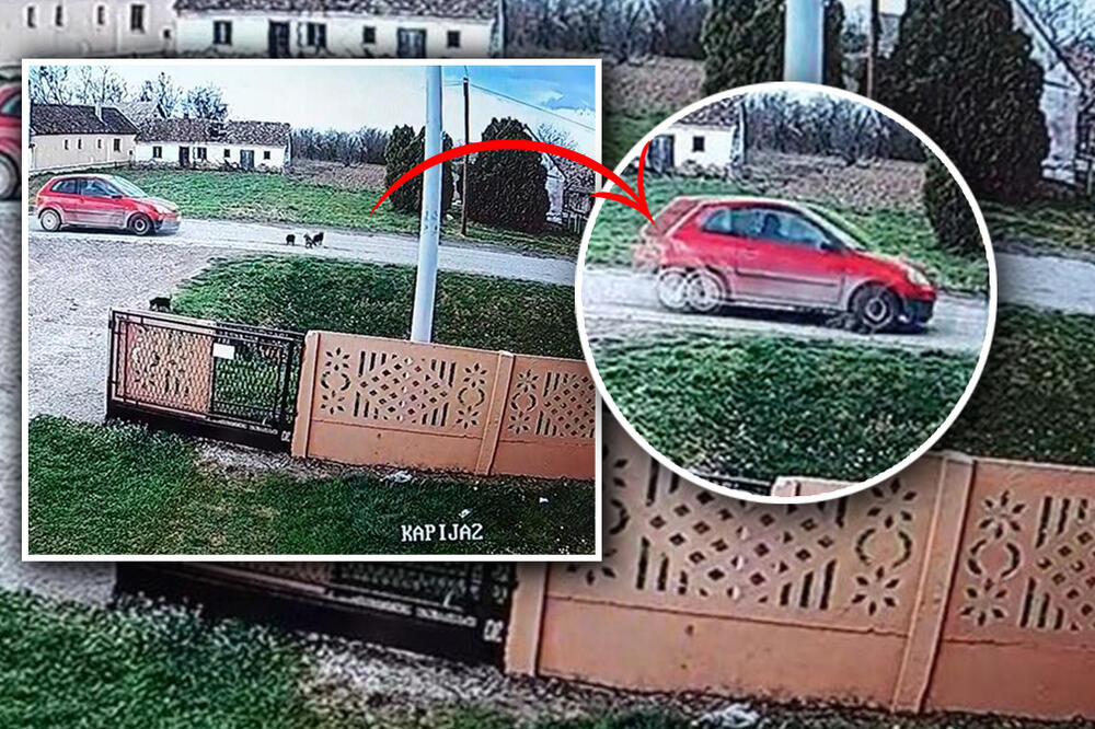 LJUDI, ŠTA JE SA VAMA, DA LI STE SVI POLUDELI? Srbija gleda UZNEMIRUJUĆI snimak, niko ne veruje svojim očima! VIDEO