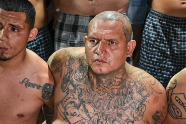 BRUTALNE BANDE HARAJU SVETOM: Jedna je POSEBNO NEMILOSRDNA, HOROR! (VIDEO)