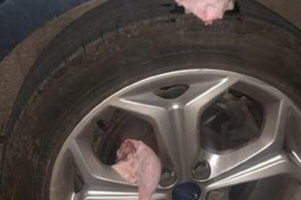 NOVI NAPAD U SVETU, ALI NE SA ORUŽJEM: Policija u pripravnosti, koristi se MESO (FOTO)