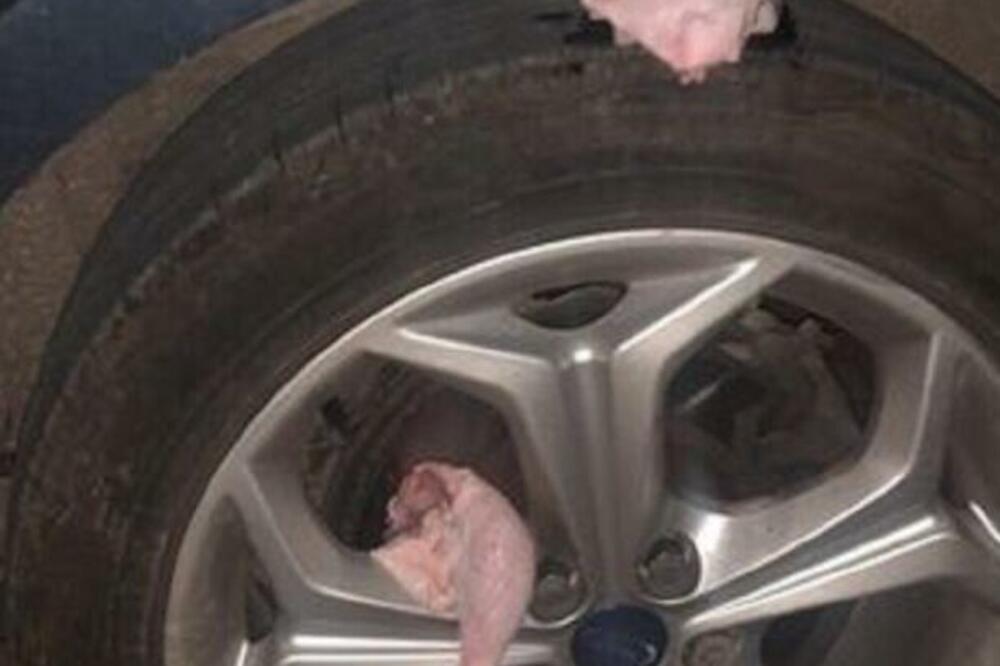 NOVI NAPAD U SVETU, ALI NE SA ORUŽJEM: Policija u pripravnosti, koristi se MESO (FOTO)