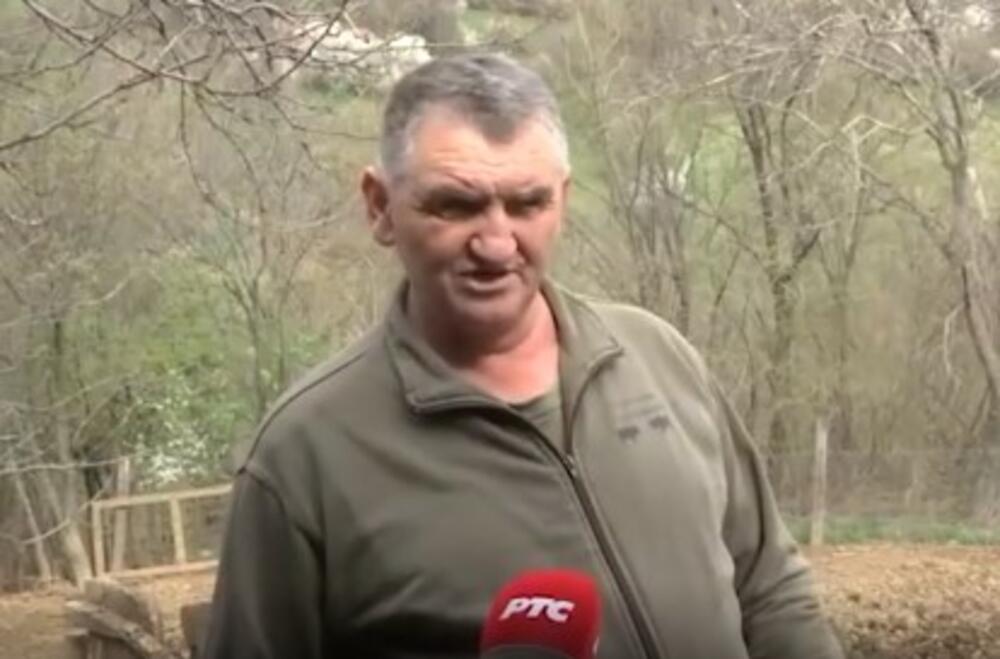 Saša Radisavljević, odgajivač svinja moravki