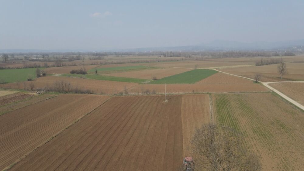 Poljoprivredno gazdinstvo