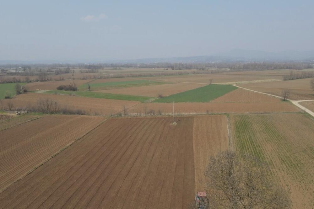 ZAVRŠEN POPIS POLJOPRIVREDE U SRBIJI: Evo kada se očekuju prvi rezultati!