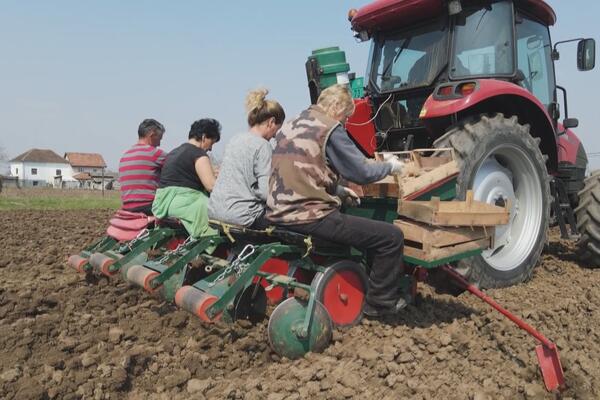 KAKO MOŽETE OBNOVITI POLJOPRIVREDNO GAZDINSTVO? Ukoliko još uvek niste, odmah uradite OVO!