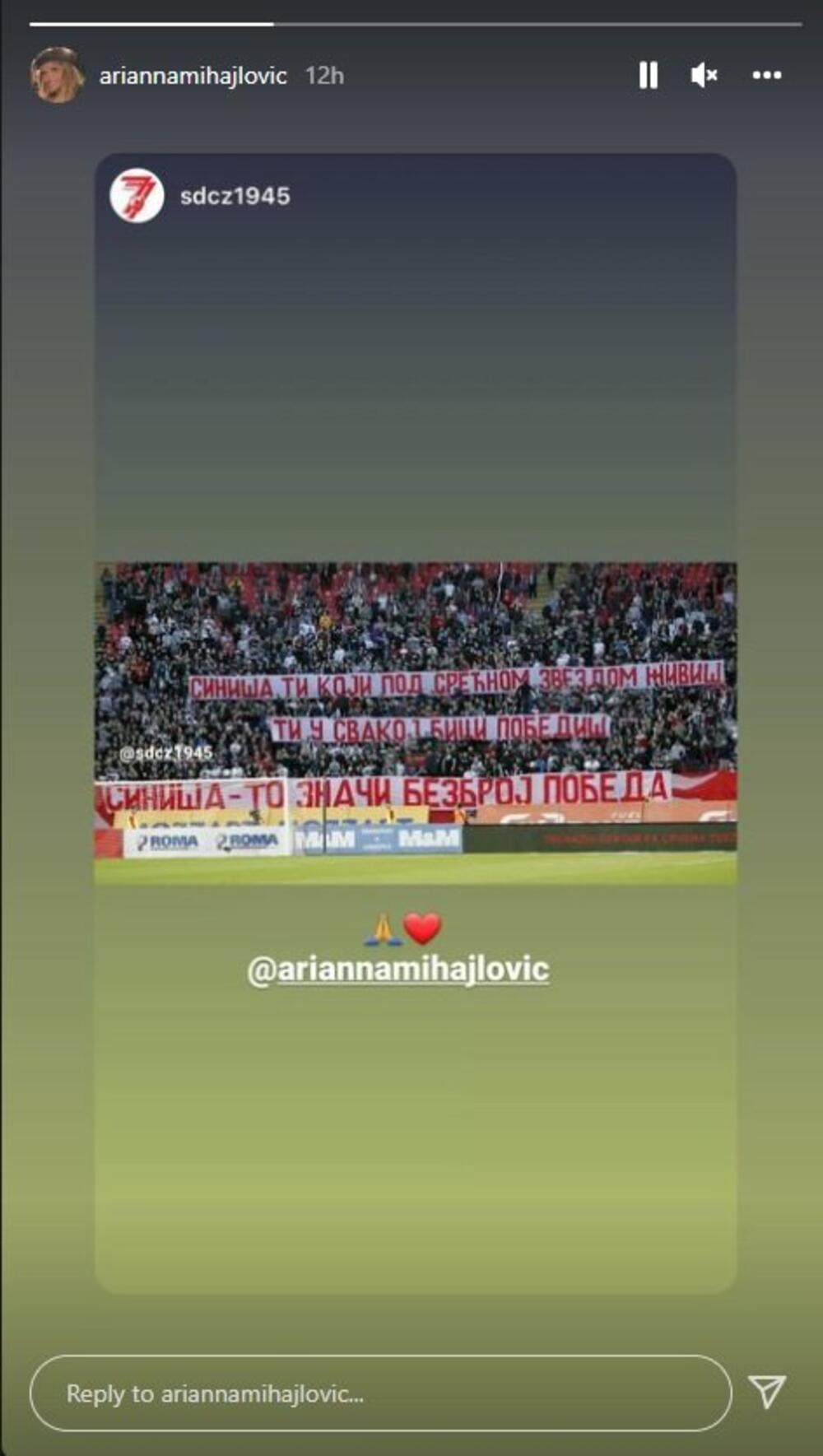 Arijana Mihajlović, Siniša Mihajlović, Fudbal