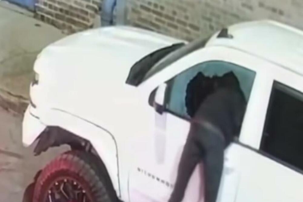 LOPOV KRENUO DA PLJAČKA, A ONDA SE DESILO NEŠTO ZBOG ČEGA MU SE SMEJE CEO SVET: Ovo je za anale (VIDEO)