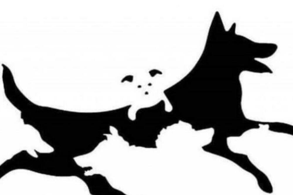 CEO SVET BRUJI O OVOM TESTU! Otkriva vašu MENTALNU starost, a pitanje je NAJJEDNOSTAVNIJE IKAD