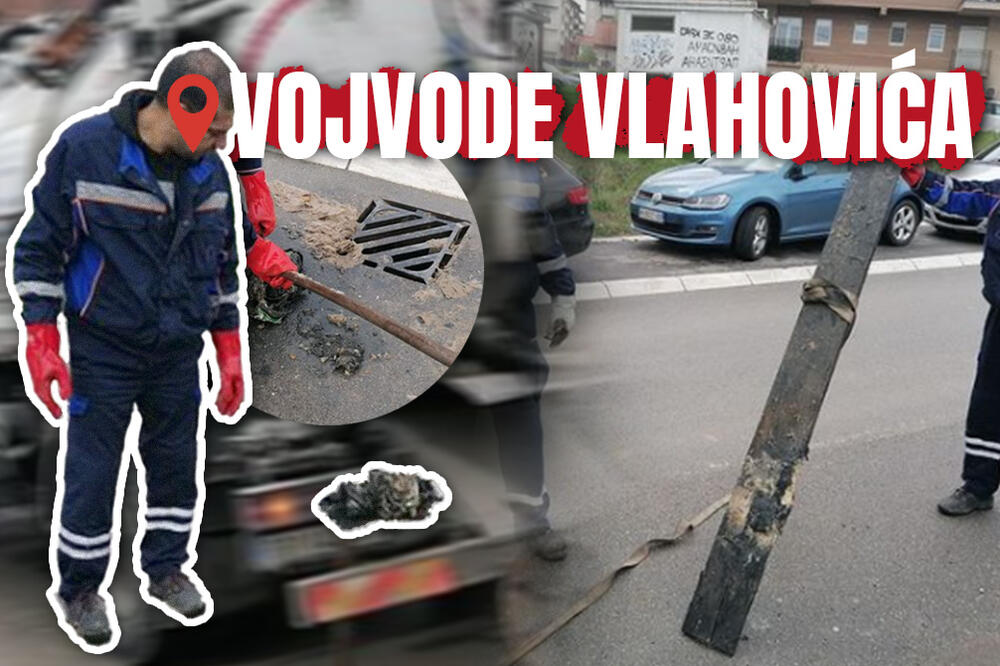 IZVAĐEN "KAPITALAC" IZ KANALIZACIJE U VOJVODE VLAHOVIĆA: Radnici se SABLASNULI, jedva izvukli 2 METRA, AU! (FOTO)