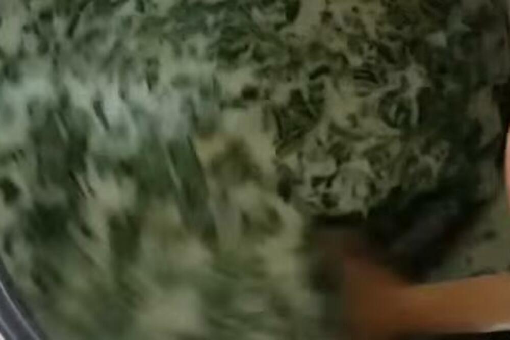 OVO SU 3 VRSTE NAMIRNICA KOJE SVI TREBA DA JEDU TOKOM ZIME: Pomažu u detoksikaciji organizma