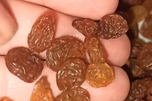 DOKTORKA OTKRIVA: Ovu hranu jedite NA PRAZAN STOMAK, puno je GVOŽĐA, Srbi, dobro ZAPAMTITE TO