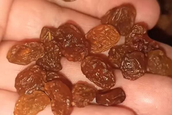 SVI MISLE DA JE OVO VOĆE PUNO ŠEĆERA, A NE ZNAJU KAKO UTIČE NA VARENJE: ODLIČNO za ORGANIZAM, JEFTINIJE od BRUSNICE