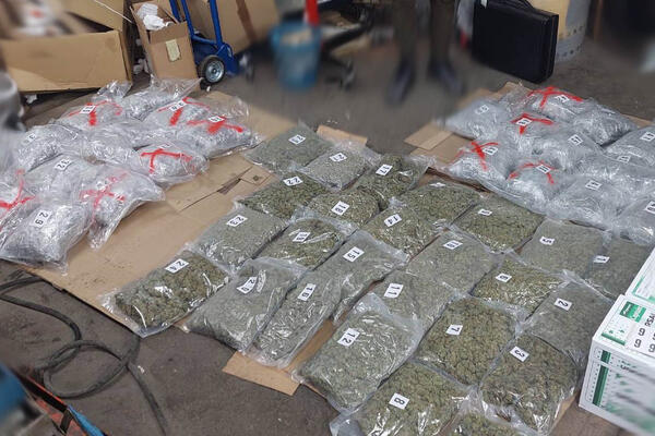HAPŠENJE U MAJDANPEKU: U stanu muškarca pronađeno više od 20 kilograma marihuane!