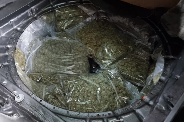 MUP: Kod Prokuplja zaplenjeno 174,4 kilograma marihuane