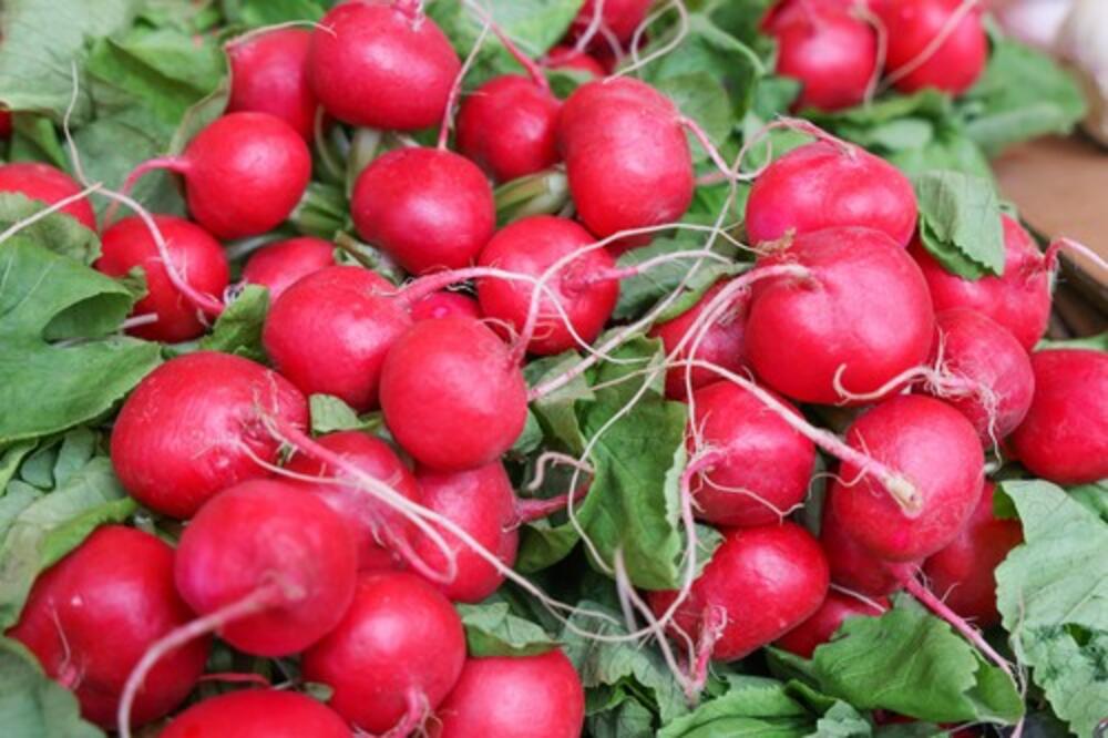 EVO ŠTA SE DEŠAVA U TELU KADA JEDETE ROTKVICE: Jedna grupa ljudi NIKAKO NE SME da ih jede, može im stradati JETRA