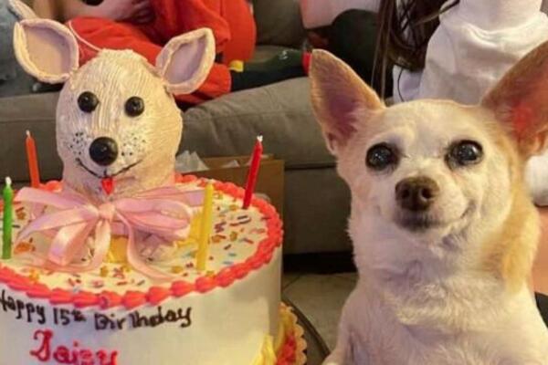 KUJICA DEJZI SLAVI SVOJ ROĐENDAN! Toliko je srećna i ponosna, UŽIVA U SVOM DANU! POGLEDAJTE OVAJ POZERAJ (FOTO)