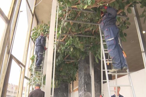 SAMO ZBOG NJEGA SU DOMAĆICE RANOM ZOROM POHRLILE U CENTAR ČAČKA: Najveći je na BALKANU (FOTO)