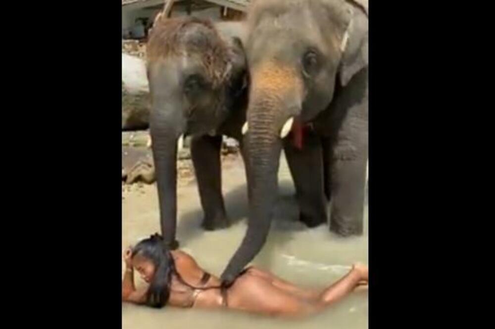 DEVOJKA POLUGOLA LEGLA PRED NJEGA, SLON JOJ GA ZAVUKAO NA NEZGODNO MESTO: Snimljena eksplicitna stvar (VIDEO)
