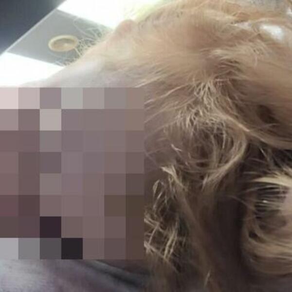 OSTAVILI SU DETE U KREVET, KAD SU PODIGLI POKRIVAČ, PRETRNULI SU OD STRAHA: Ugledali su čudovište od 3 metra (FOTO)