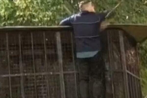 ŠTA JE SA ČOVEKOM?! Bebica ponovo BEŽI IZ ZADRUGE, pada preko OGRADE i jednu stvar UPORNO ODBIJA! (ŠOK SNIMAK)