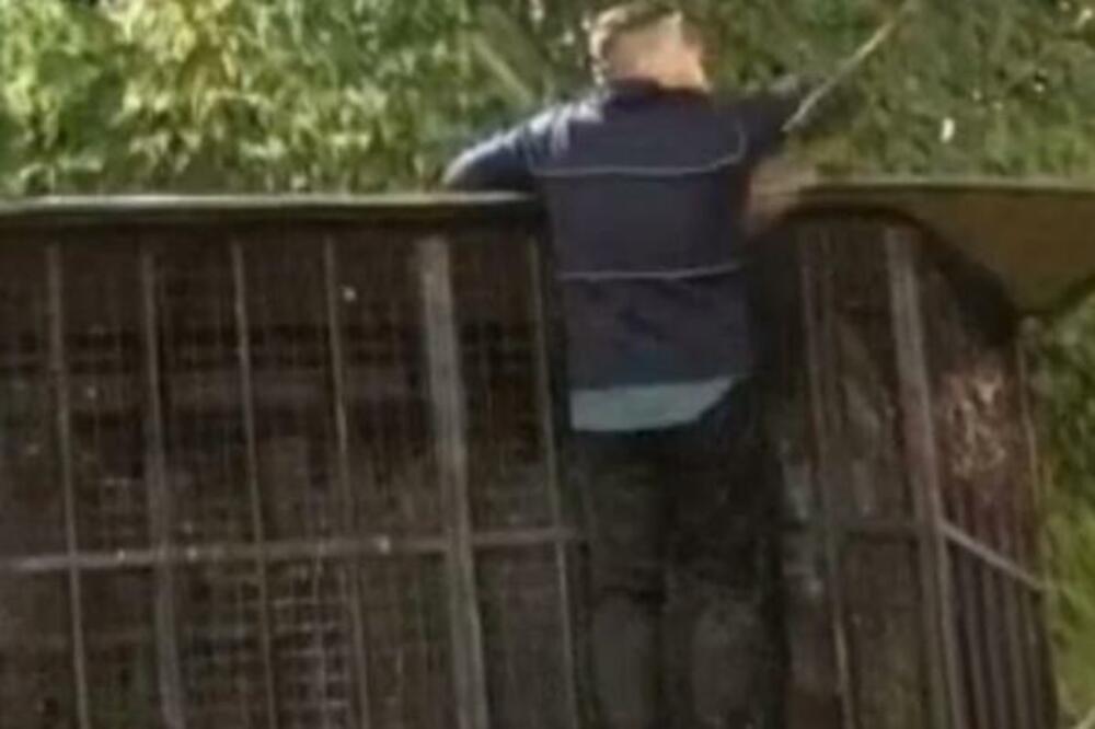 ŠTA JE SA ČOVEKOM?! Bebica ponovo BEŽI IZ ZADRUGE, pada preko OGRADE i jednu stvar UPORNO ODBIJA! (ŠOK SNIMAK)