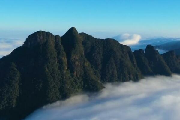 TROPSKA PRAŠUMA NA HAINANU: Dom zaštićenih biljaka i životinja (VIDEO)