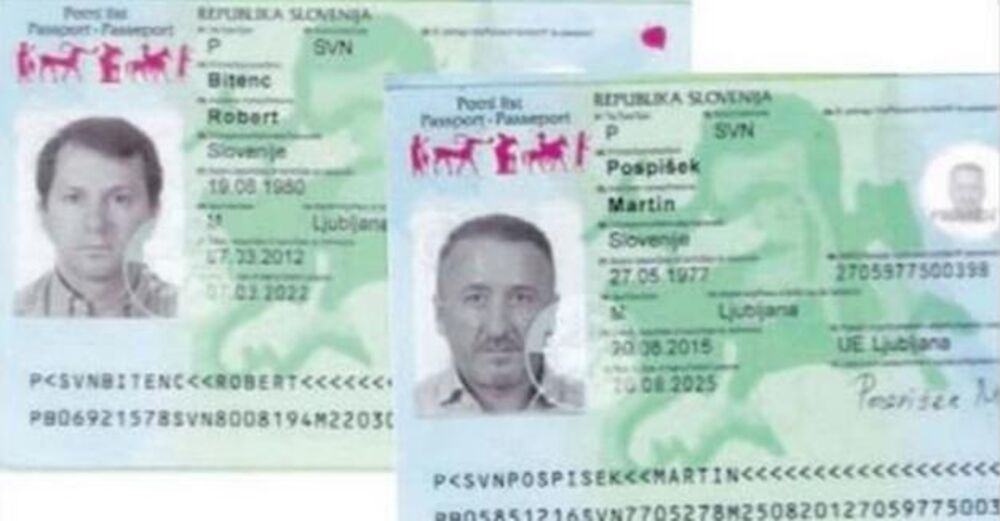 Alan Kožar, Damir Hadžić