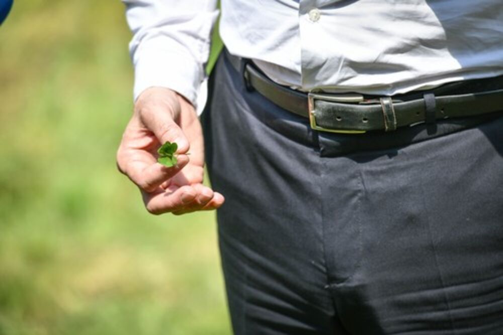 Detelina, Detelina sa četiri lista