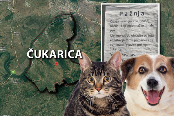 "PAŽNJA, OPASAN MANIJAK ŽIVI U OKOLINI"! U Golf naselju osvanula UZNEMIRUJUĆA PORUKA, strašno šta ljudi rade! FOTO