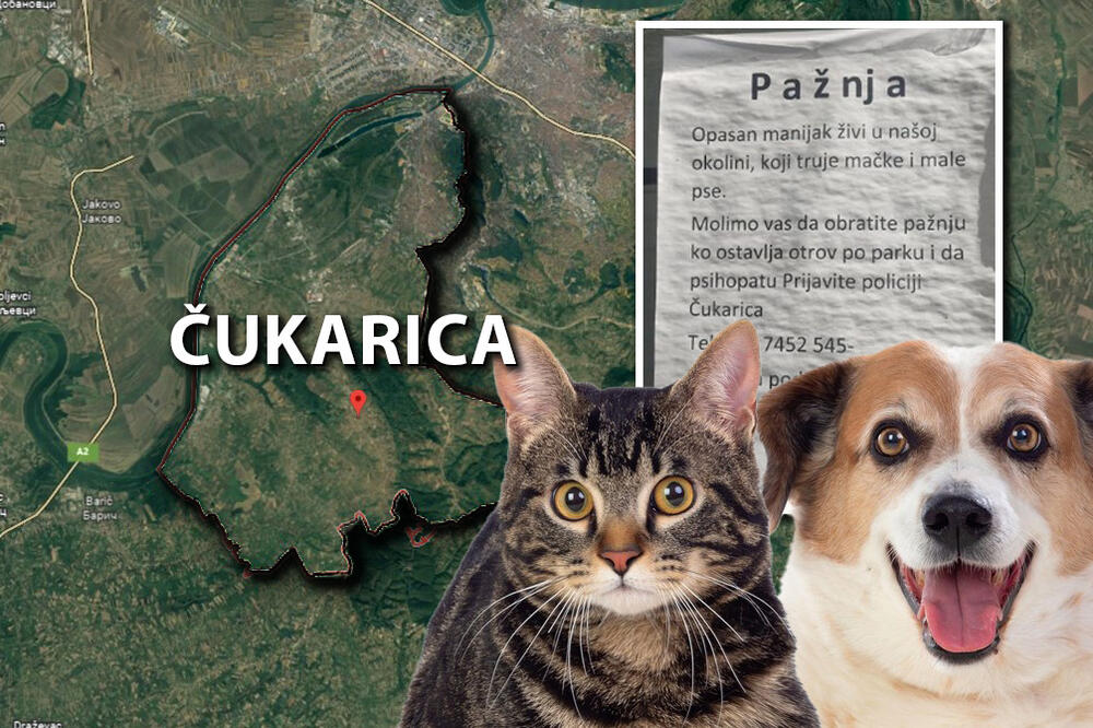 "PAŽNJA, OPASAN MANIJAK ŽIVI U OKOLINI"! U Golf naselju osvanula UZNEMIRUJUĆA PORUKA, strašno šta ljudi rade! FOTO