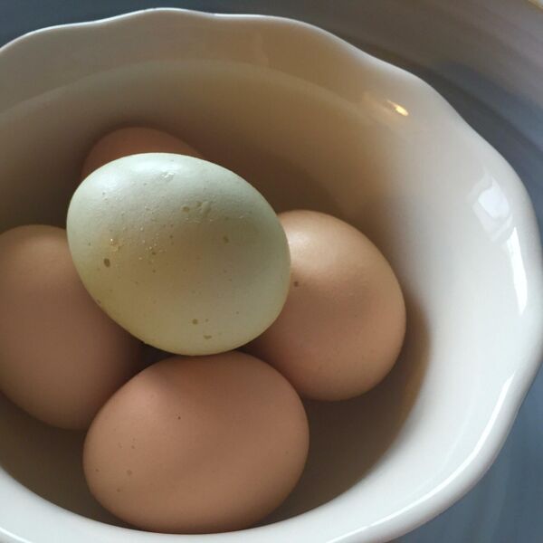 Jela je jaja svaki dan i nije ni sanjala šta će se desiti: Posle 7 dana, promene su bile ogromne, ali 1 je najviše