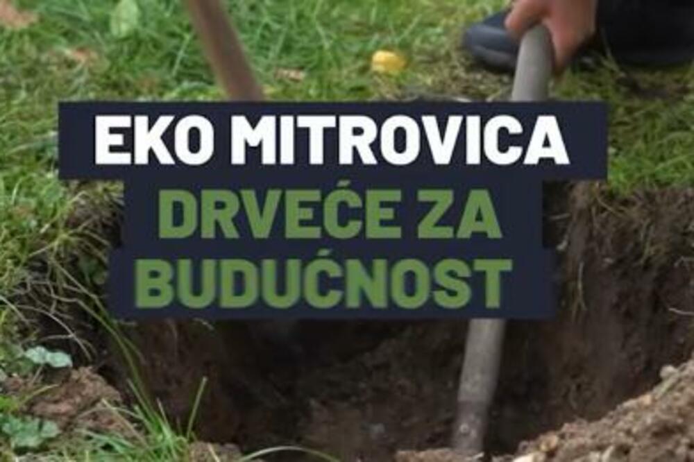 SREMSKA MITROVICA: Učenici udruženi u Asocijaciju učeničkih parlamenata štite prirodu i biće amsadori Obedske bare