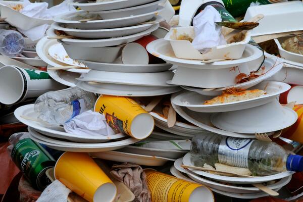 VIŠE VAM NEĆE PASTI NA PAMET DA BACATE OSTATKE HRANE! Razlog je OPASNOST kakvu niste mogli ni da zamislite