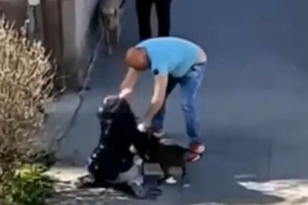 UZNEMIRUJUĆI VIDEO SA ULICA BEOGRADA POTRESA SRBIJU: Muškarac udara ženu i šutira psa dok URLA NA NJIH! (VIDEO)