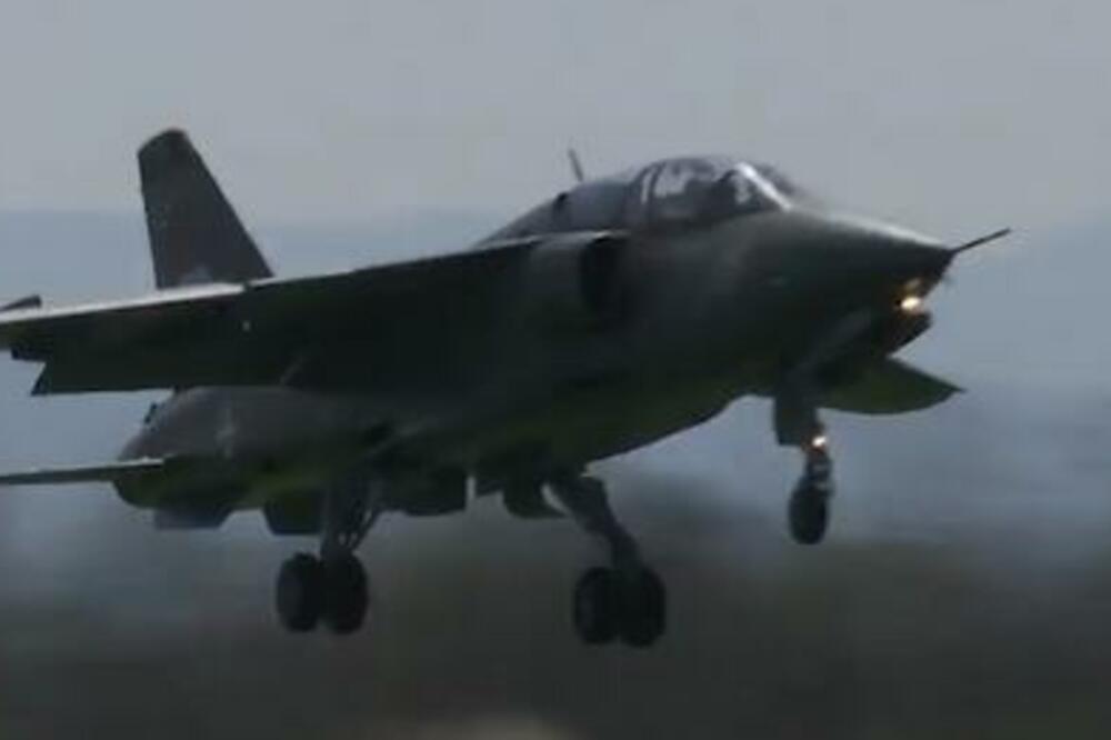 KAKAV OBRT! Tiče se letelice