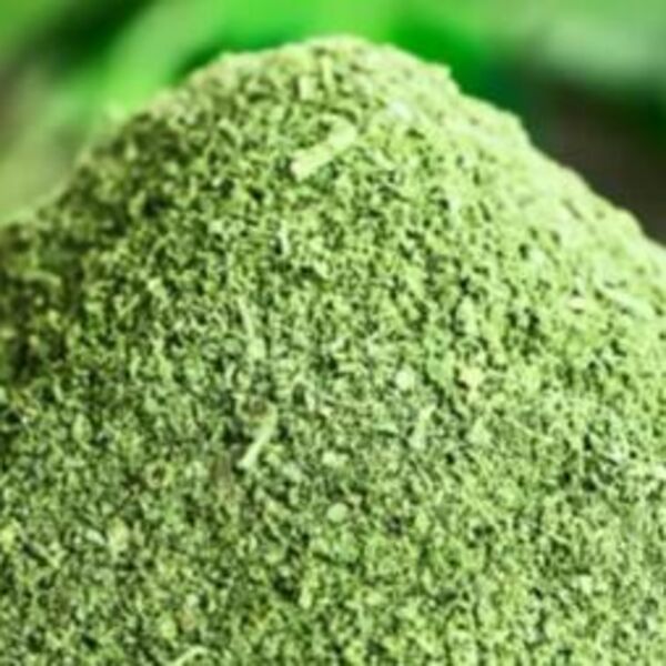 Biljka koju zovu prirodni antibiotik, ima više kalcijuma nego mleko: Malo ljudi za nju zna, a pravo je BLAGO