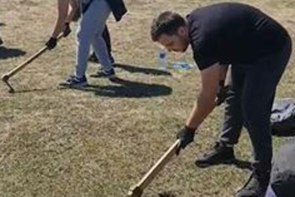 VOLONTERI UČESTVOVALI U POŠUMLJAVANJU ZLATIBORA: U akciji posađeno 10.000 sadnica (VIDEO)
