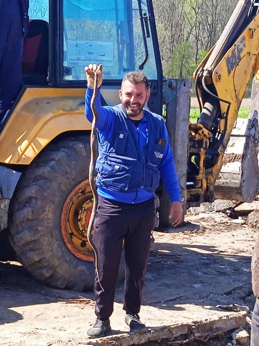 Poskok, Rača, Zmija