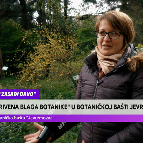 SKRIVENA BLAGA BOTANIKE: Organizovana radionica za osnovce u okviru akcije Zasadi drvo