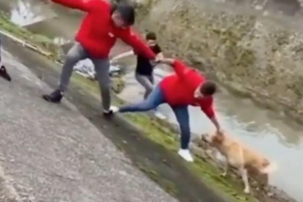 PAS SE ZAGLAVIO U KANALU, DELILE SU GA SEKUNDE: A onda su ovi momci napravili potez za PAMĆENJE (VIDEO)