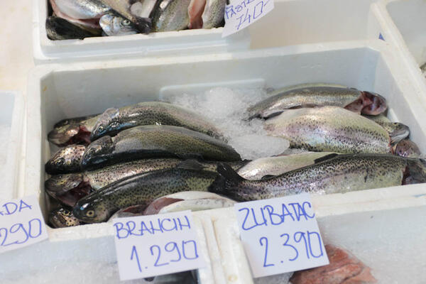 PREKOMERAN UNOS RIBE IZAZOVA NAJOPASNIJU STVAR IKAD: Stradaju svi vitalni ORGANI