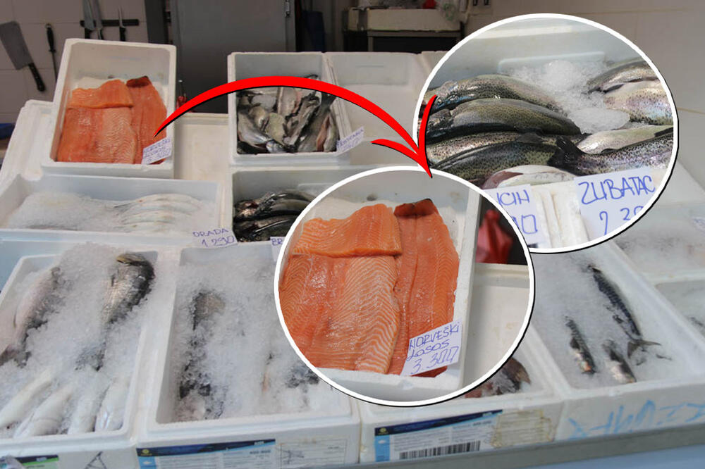 RIBE KOJU SRBI NAJVIŠE VOLE NEMA, A LOSOS KOŠTA KAO SUVO ZLATO: Espreso u ribarnicama uoči VELIKOG PETKA (FOTO)