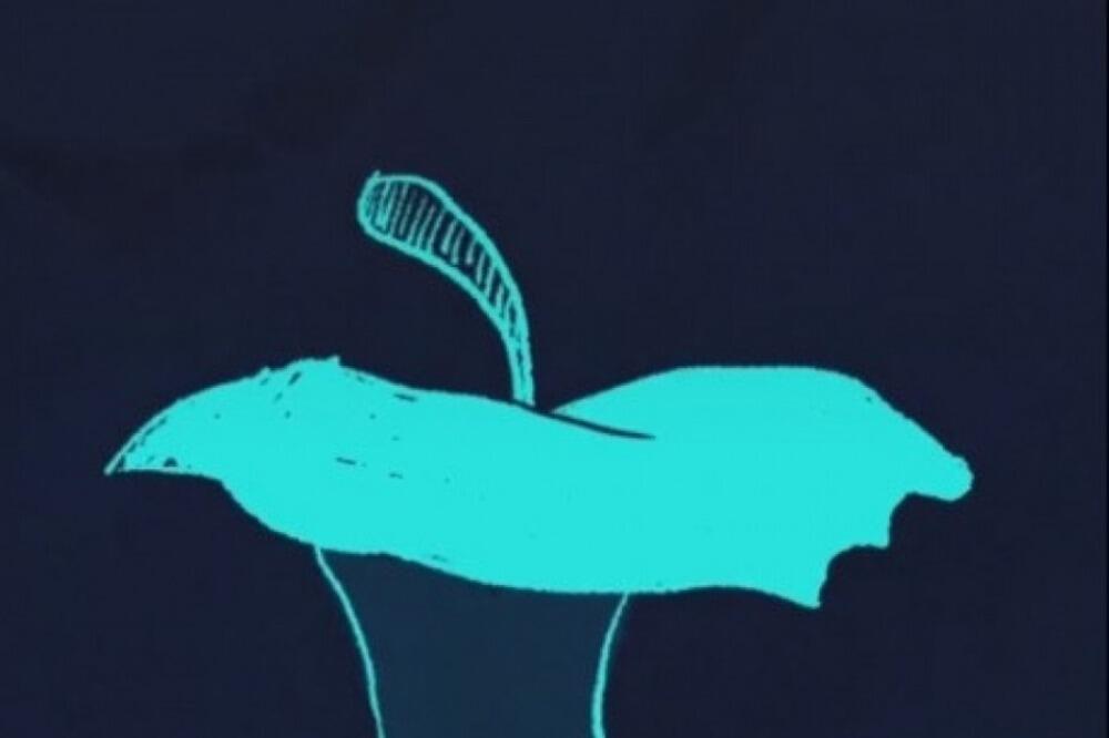 TEST KOJI OTKRIVA DA LI STE SREĆNI: Ono što vidite daće vam PRAVI odgovor (VIDEO)