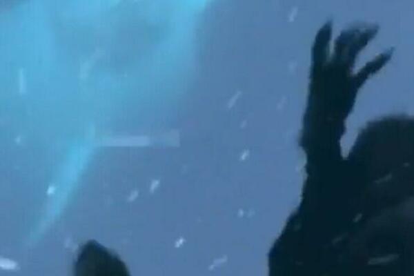 NAGNULA SE DA BI POMAZILA KITA, A ONDA JE USLEDIO NEVIĐENI PRIZOR: Trebalo je samo nekoliko trenutaka (VIDEO)