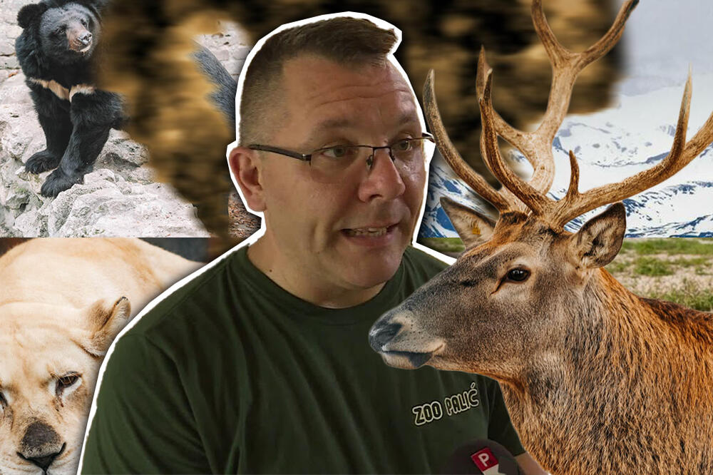 DANAS JE DAN PLANETE KOJU SMO UNIŠTILI: Ovari je za Espreso objasnio kako da sačuvamo ono što je ostalo od NJE!